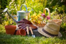 jardinage