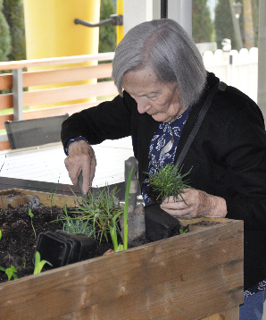 lesjardinsdescuvieres.fr - Les activités et animations